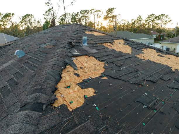 Professional Roofing Service in Deerfield, IL